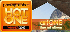 2012 Hot One award winner artONE fine art album